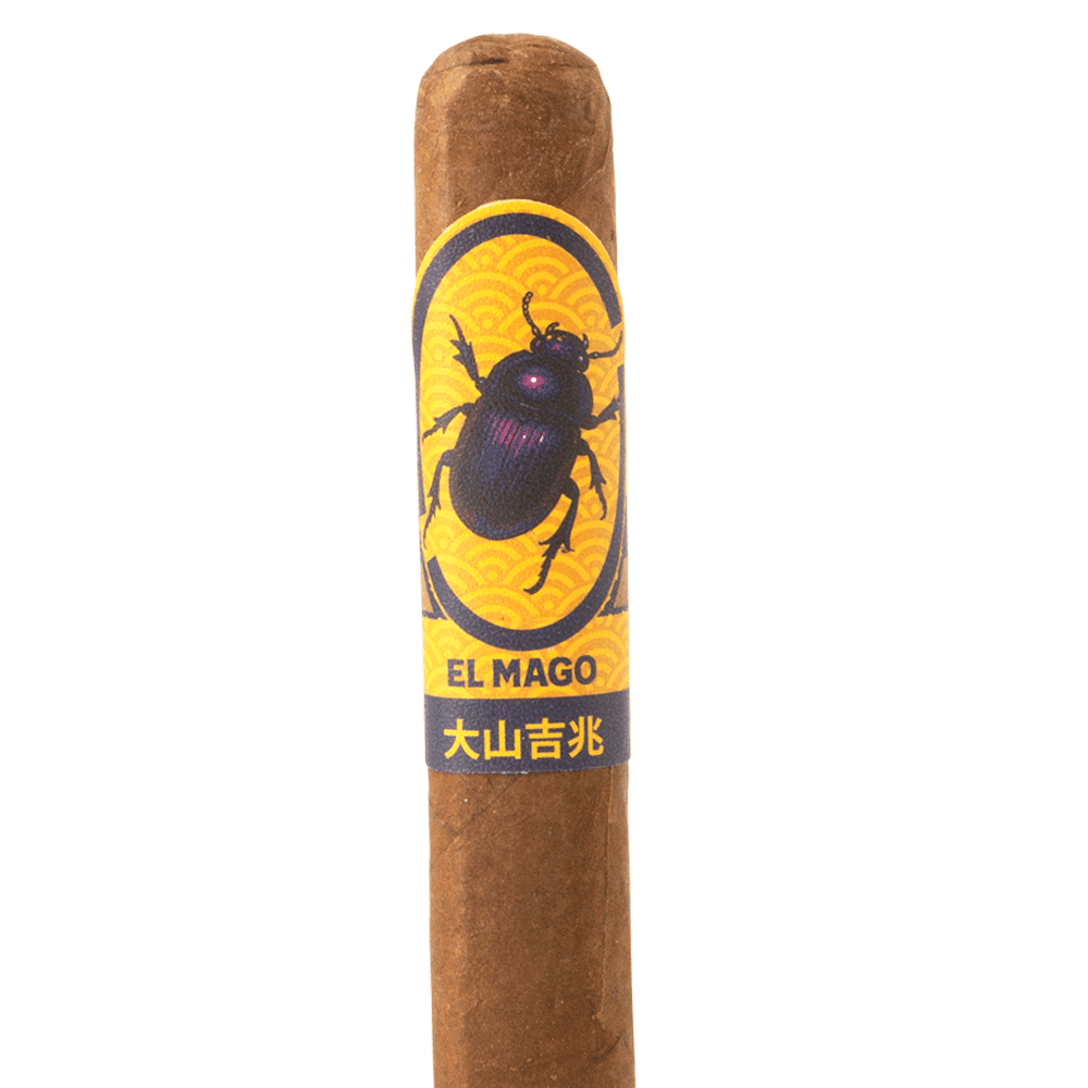 Limited Edition Robusto BP, , cigars